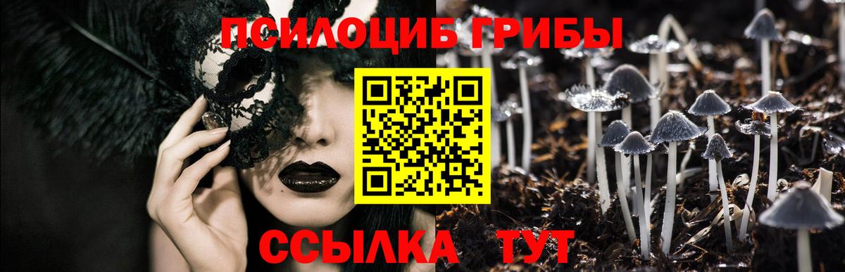 Псилоцибиновые грибы Magic Shrooms  Вход с VPN  Лабытнанги 